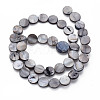 Natural Freshwater Shell Beads X-S00C20J8-5