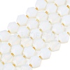 Opalite Beads Strands G-G144-A06-01-2