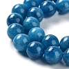 Dyed Natural Malaysia Jade Beads Strands G-G021-02C-10-3