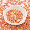 Baking Paint Glass Seed Beads SEED-S042-05B-45-2
