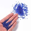 Round Glass Seed Beads SEED-A007-2mm-168-4