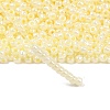 TOHO 6/0 Round Beads X-SEED-TR06-0142-2