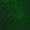 15/0 Transparent Czech Glass Seed Beads SEED-N004-004-23-4