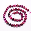 Natural Tiger Eye Beads Strands G-G544-10mm-02-2