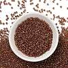 TOHO 8/0 Round Beads SEED-TR08-1849-2