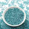 Glass Seed Beads X-SEED-S042-04B-23-2