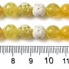Dyed & Heated Natural Fire Crackle Agate Beads Strands G-P539-B01-18-5