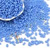 Baking Paint Glass Seed Beads SEED-L011-09A-05-1