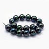 Electroplate Shell Pearl Beads Strands BSHE-F013-04-2