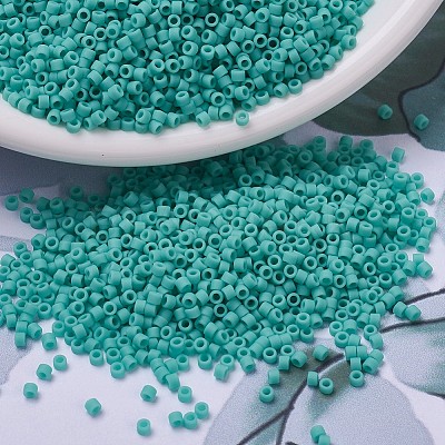 MIYUKI Delica Beads X-SEED-J020-DB0759-1