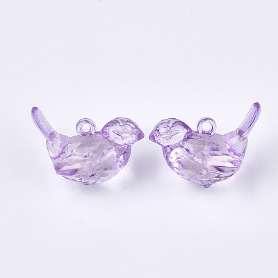 Transparent Acrylic Pendants TACR-S133-028-1