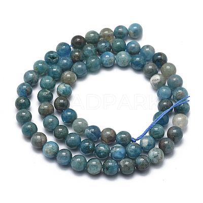 Natural Apatite Beads Strands G-I254-08D-1