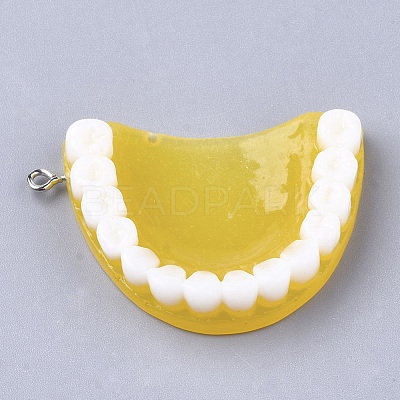 Resin Pendants X-RESI-T028-14-1