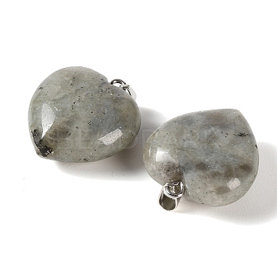 Natural Labradorite Pendants GG-CBAA0EE-04P-05-1