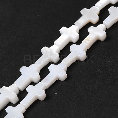 Natural Freshwater Shell Beads Strands BSHE-E026-18-1