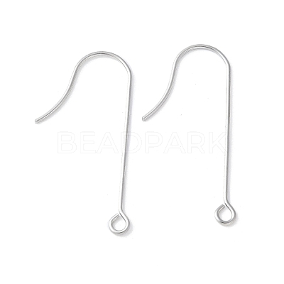 316 Surgical Stainless Steel Earring Hooks STAS-Z124-02B-P-1