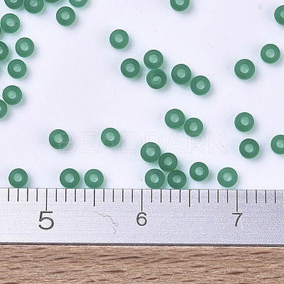 MIYUKI Round Rocailles Beads X-SEED-G007-RR0147F-1