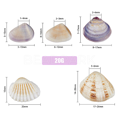 5 Styles Shell Beads SHEL-FH0001-22-1