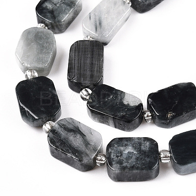 Natural Eagle Eye Stone Beads Strands G-C098-A16-01-1