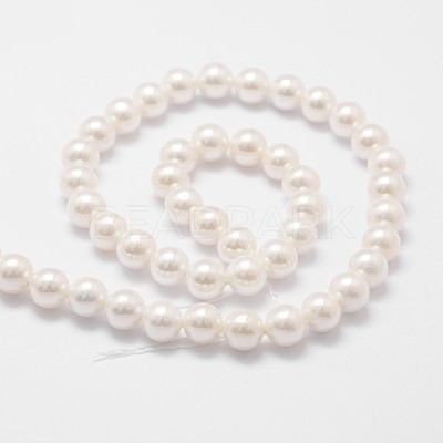 Rainbow Plated Shell Pearl Bead Strands X-BSHE-L025-02-6mm-1