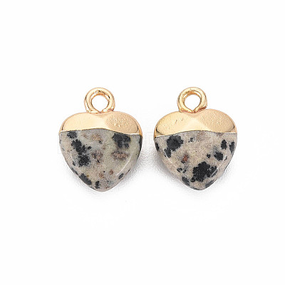 Natural Dalmatian Jasper Charms LS-G-N326-121-01-1