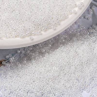 MIYUKI Round Rocailles Beads X-SEED-G009-RR0528-1