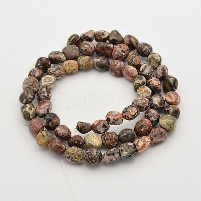 Natural Leopard Skin Jasper Bead Strands X-G-P070-56-1