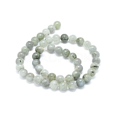 Natural Labradorite Beads Strands G-G828-01-8mm-1