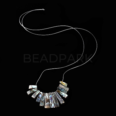 Rectangle Natural Abalone Shell/Paua ShellGraduated Beads Strands SSHEL-P002-05B-1