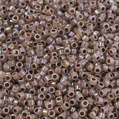 MIYUKI Delica Beads X-SEED-J020-DB1749-1
