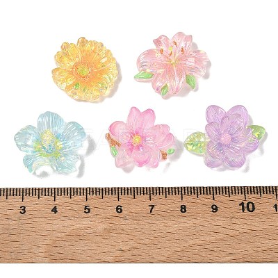 Transparent Resin Cabochons RE-CBA1274-02-1