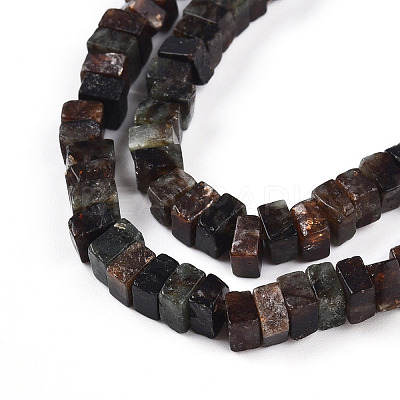 Natural Biotite Beads Strands G-T140-54-1