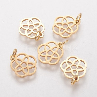 304 Stainless Steel Pendants STAS-Q201-T454G-1