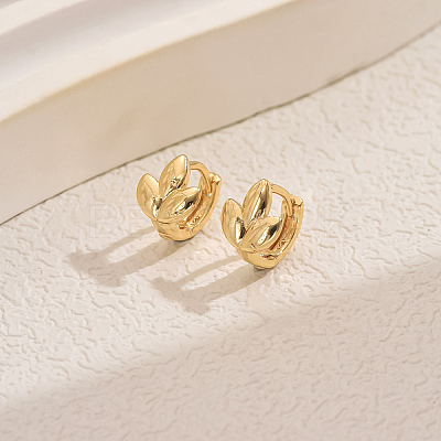 Simple Geometric Brass Hoop Earrings CV3408-5-1