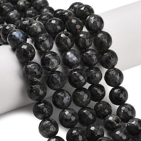 Natural Larvikite Beads Strands G-C280-B06-12mm-1