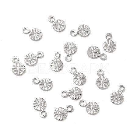 304 Stainless Steel Charms STAS-P319-30P-01-1