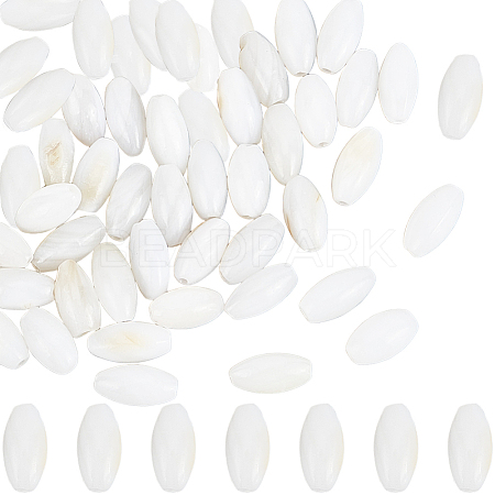100Pcs Dyed Natural Shell Beads BSHE-SC0001-14-1