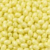 Baking Painted Glass Seed Beads SEED-C004-04A-3