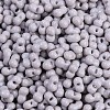 Baking Paint Glass Seed Beads X1-SEED-K010-A04-2