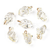 Transparent Resin Pendants RESI-E028-01G-09-1