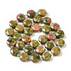 Natural Unakite Bead Strands G-C116-A04-01-3