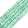 Natural Freshwater Shell Beads Strands SHEL-Q028-01F-1