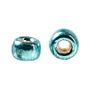 TOHO 8/0 Round Beads X-SEED-TR08-PF0569-3