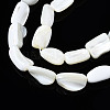 Natural Trochid Shell/Trochus Shell Beads Strands SSHEL-S266-014A-3
