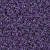MIYUKI Round Rocailles Beads X-SEED-G007-RR0223-3