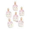 Alloy Enamel Pendants AL-CBAC5EF-07G-03-1
