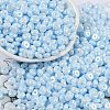 Opaque Colours Luster Glass Seed Beads SEED-P008-01C-09-1