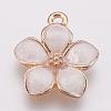 Zinc Alloy Enamel Pendants PALLOY-I124-10G-B-1