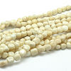 Natural White Jade Bead Strands G-P070-20-1