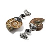 Natural Black Agate Fossil Snail Pendants G-F062-08-3